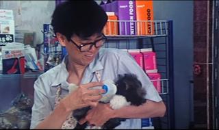 十部开心鬼的电影 开心鬼上错身女主角