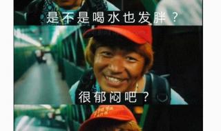 王宝强演的宝哥是什么电影 泰囧王宝强表情